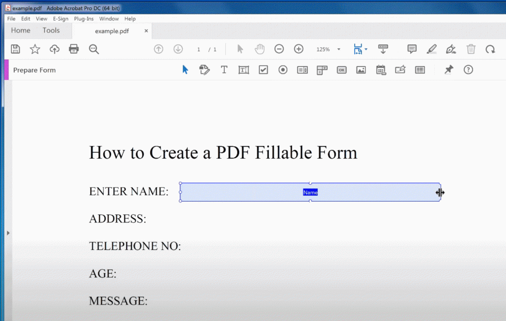 Add a Enter Name Text Field in Adobe Acrobat