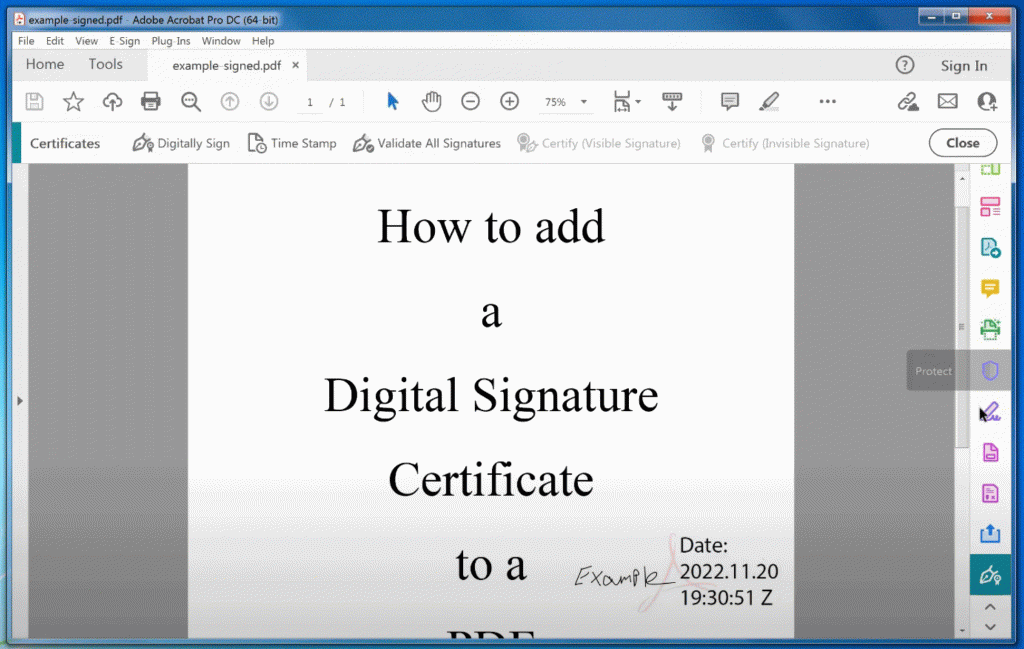 Signed PDF with a Digital Signature Certificate