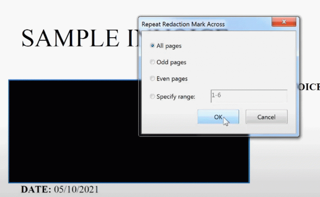 Repeat Redaction